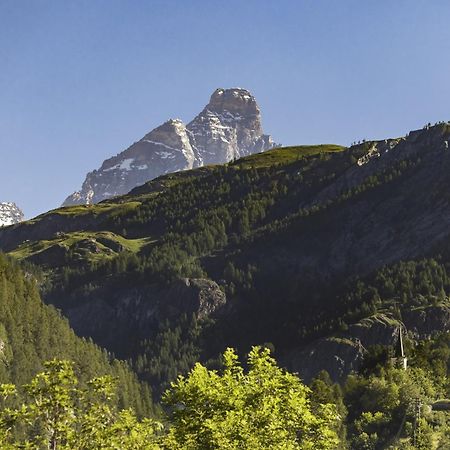 Hellochalet - Chalet Northern Lights - Family Ski Chalet With Garden Walking Distance Lift Valtournenche Exterior photo